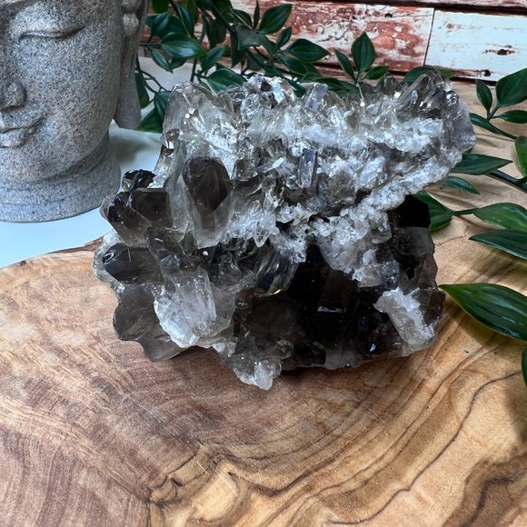 1 lb Double Sided Raw Smoky Quartz Crystal Cluster - A+ Collector Quality - Picture 9 of 13